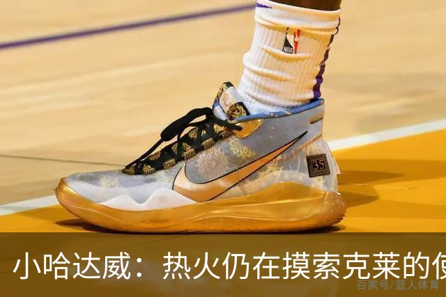 小哈达威：热火仍在摸索克莱的使用说明书 斯波会找到办法的