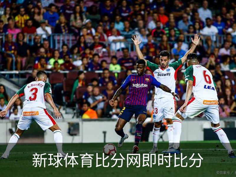 了解新球体育比分网即时比分